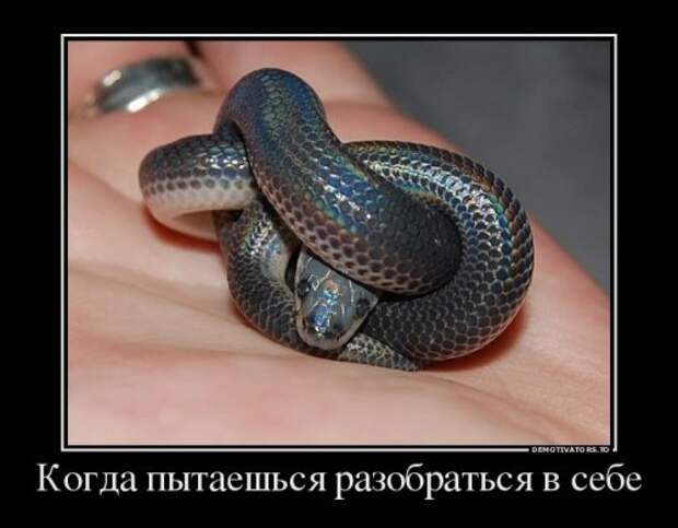 Демотиваторы на Бугаге (18 шт)
