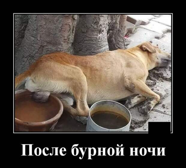 Демотиваторы (30 фото)
