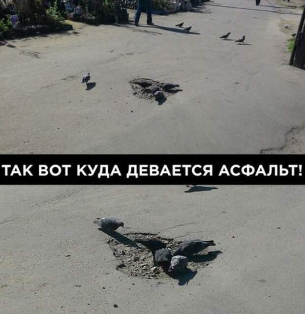 Снова прикольные картинки (50 шт)