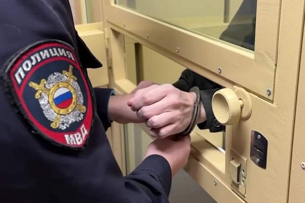 Распылившего баллончик в метро россиянина экстрадировали из Черногории