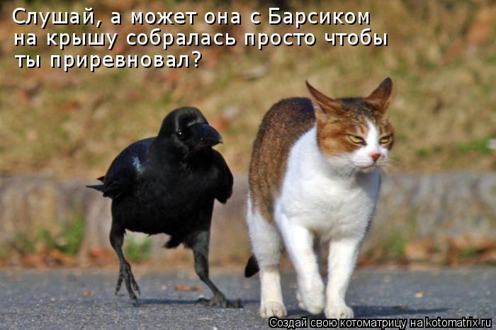 Мысли вслух :)