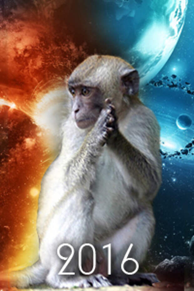 2016 год по зодиаку