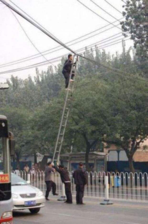 Дураки вокруг нас (22 фото)