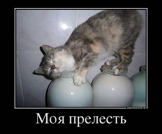 Демотиваторы демотиваторы, прикол, смех, юмор