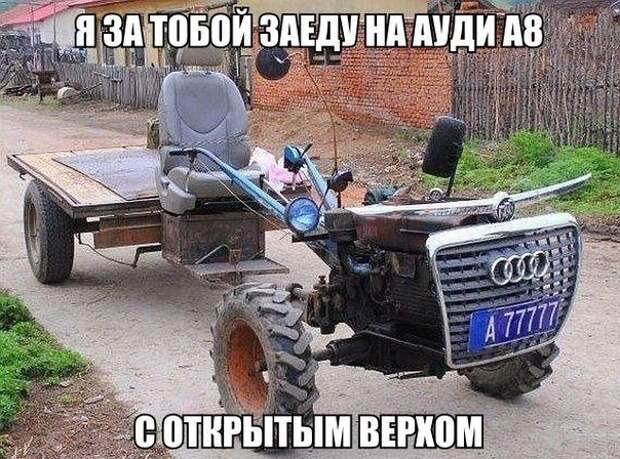 Смешные картинки с подписями катинки, прикол, юмор