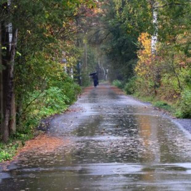 Новости Крыма