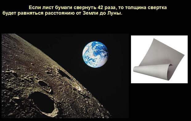Мир удивителен, господа! Мир удивителен, господа! интересное, мир, невероятное