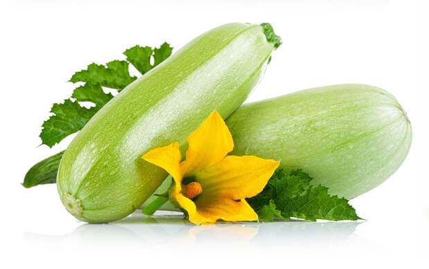 Vegetable - Cucumbers, squash and pumpkins Овощи - Огурцы,кабачки и тыквы " Территория дизайнера и веб-мастера - Клипарты, Шабло