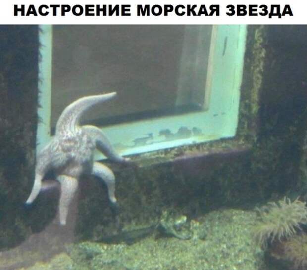 Просто картинки