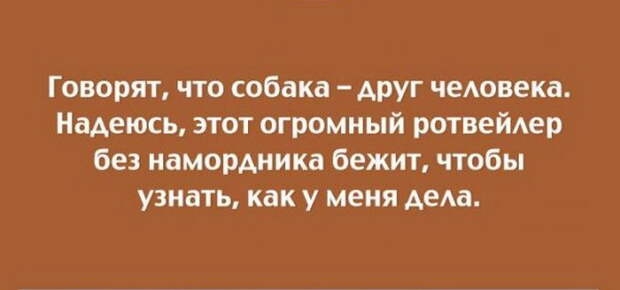 ПРИКОЛЬНЫЕ "АТКРЫТКИ" ПРИКОЛЬНЫЕ "АТКРЫТКИ"