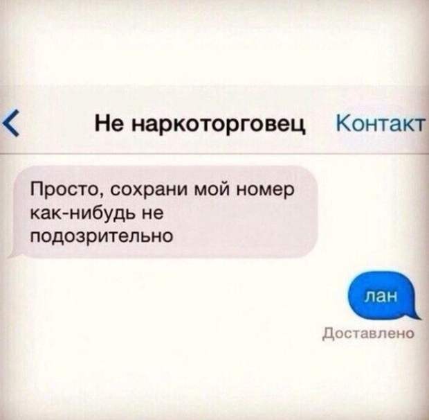 Мастера конспирации, которых все-таки раскрыли Мастера конспирации, которых все-таки раскрыли без палева, прикол, юмор
