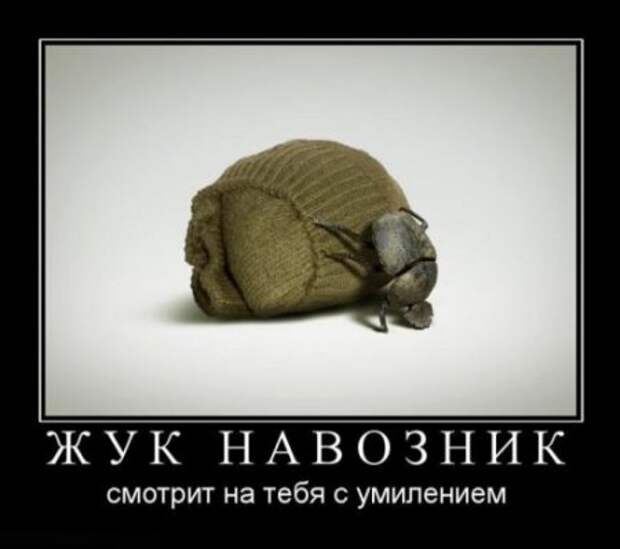 Новые прикольные демотиваторы, осторожно - будет очень смешно!