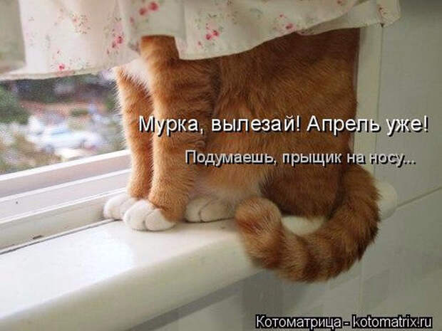 1429823381_18 (700x525, 254Kb)