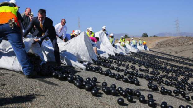 Зачем власти Лос-Анджелеса высыпали 96 млн шаров в водохранилище