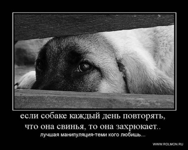 Деотиваторы о чувствах со смыслом.