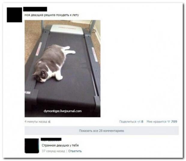 комментарии из социальных сетей.