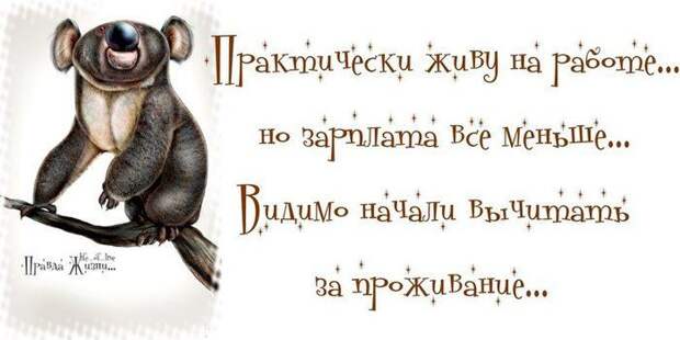 13 фактов о зарплате 13 фактов о зарплате деньги, зарплата, факты