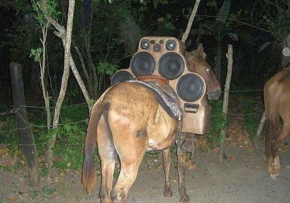 Вещи, о которых вы и не подозревали Вещи, о которых вы и не подозревали
