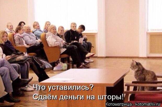 Лучшие котоматрицы недели