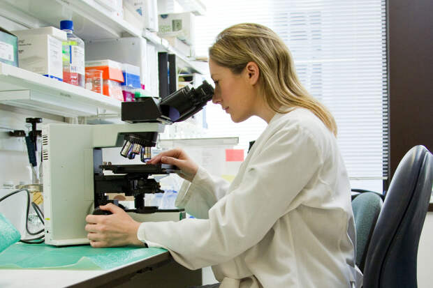 Обнаружены скрытые факторы риска рака желудка