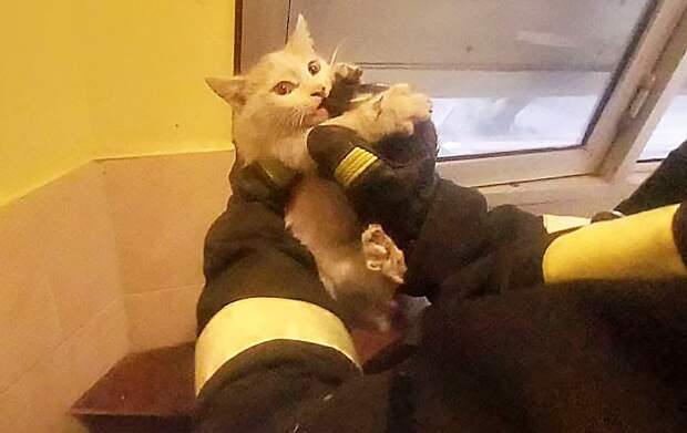 Фото: Вячеслав Дрозд