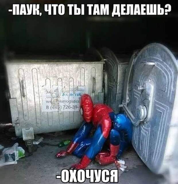 Смешные картинки с подписями картинки, прикол, юмор
