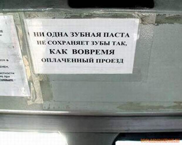 Дюжина улыбок :)