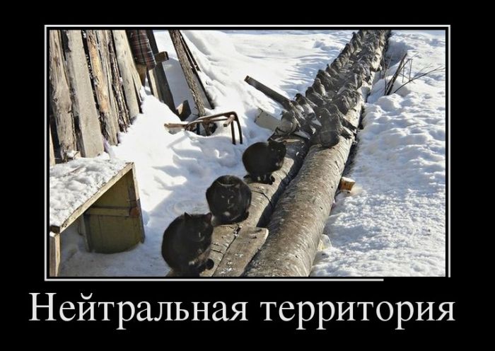 Демотиваторы демотиваторы, юмор