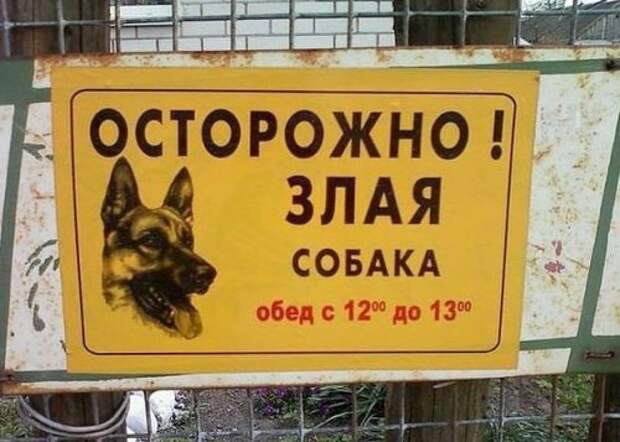 Смешные и забавные таблички-предупреждения о собаках во дворе (17 фото)