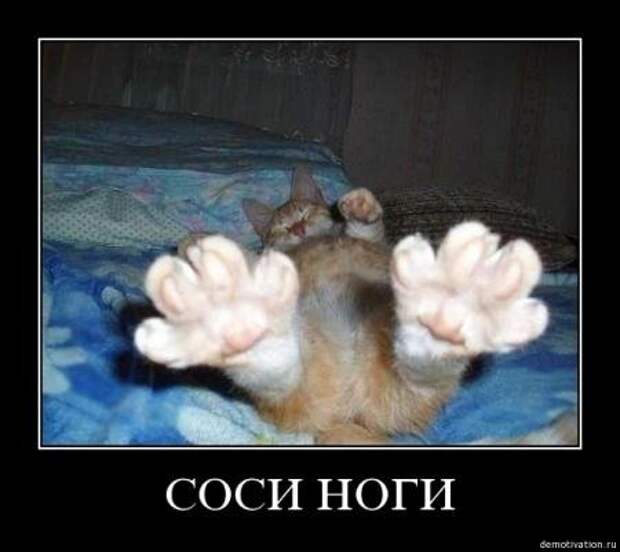Самые убойные демотиваторы только прикольные.