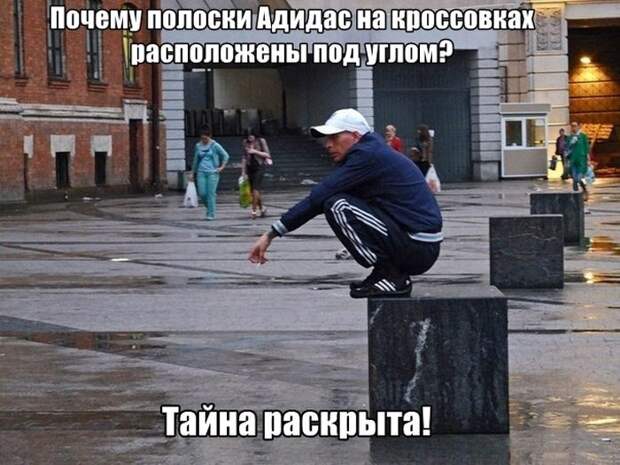 Смешные картинки с подписями  картинки, прикол, юмор