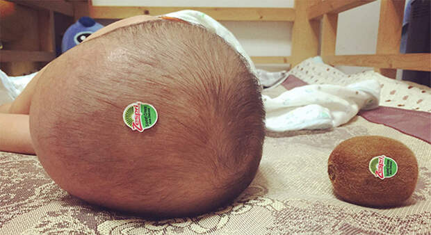 kiwi-baby-head-1