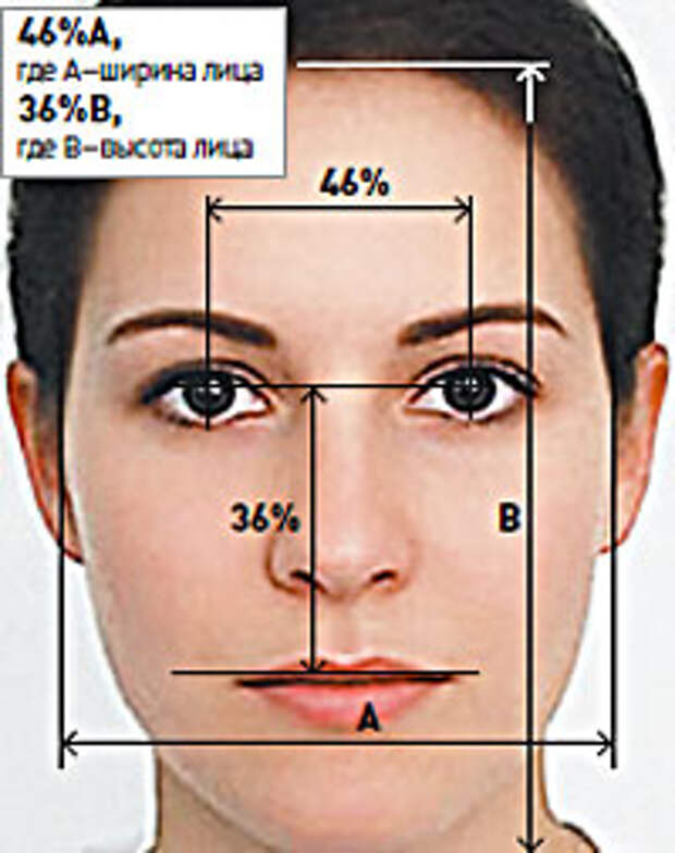 Средний размер глаз. Ширина лица человека. Высота и ширина лица. Лицо нормального человека. Идеальное лицо.