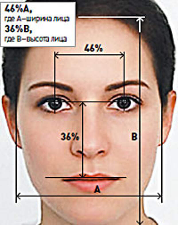 Куда лиц. Ширина лица человека. Пропорция ширина к высоте лица. Идеальные параметры женского лица. Нормальное лицо человека.