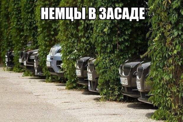 Просто смешные картинки с подписями Просто смешные картинки с подписями весело, с подписями, смешные картинки, юмор