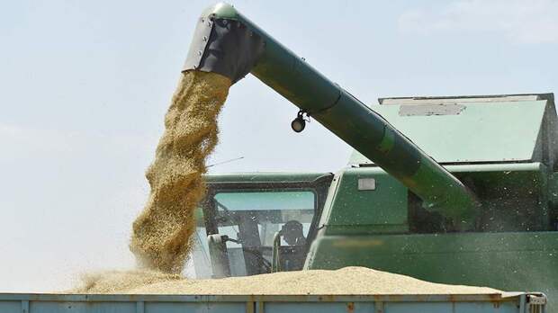 Мишустин анонсировал увеличение производства зерновых в России