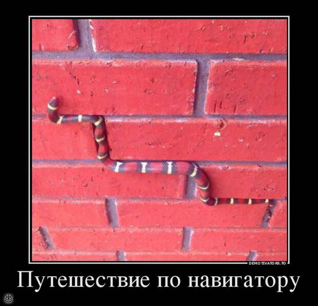 Не забывай включить мозг! 25