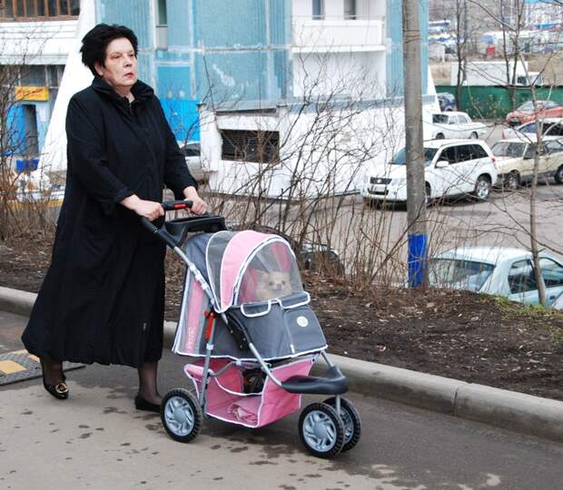 Вся правда о сильных и независимых женщинах Вся правда о сильных и независимых женщинах женщины, прикол, юмор