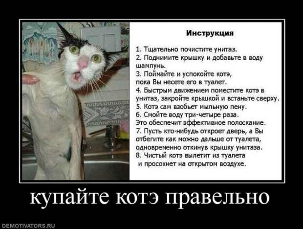 Позитивные демотиваторы про животных (20 фото) Позитивные демотиваторы про животных (20 фото)
