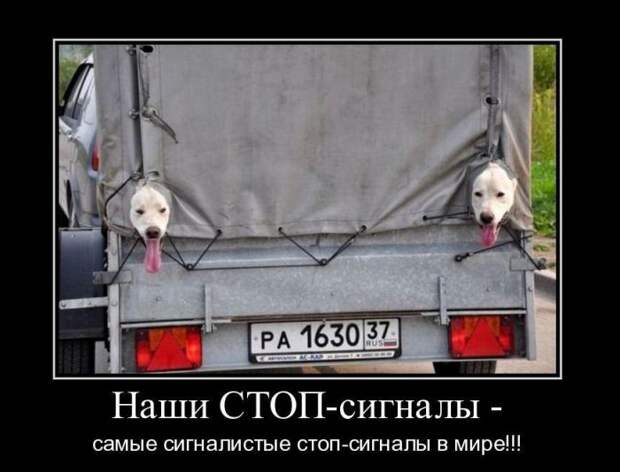 Демотиваторы (30 фото)
