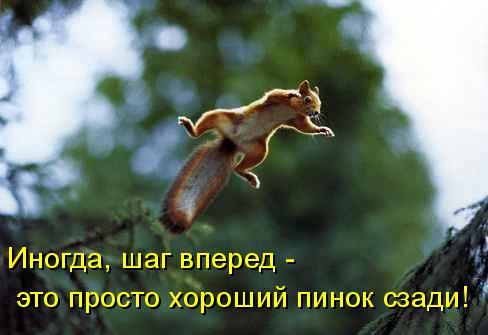 Котоматрица 14