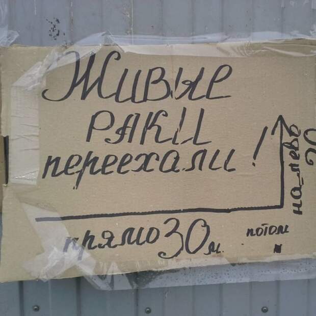 Объявления и надписи, к которым подошли явно не со всей ответственностью Объявления и надписи, к которым подошли явно не со всей ответственностью
