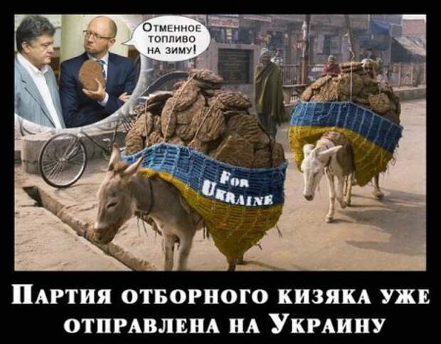 Порошенко и морковка! Анекдоты про ослов....