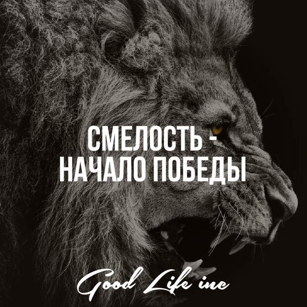 Мой друг был смел. Цитаты про смелость. Цитаты про храбрость. Цитаты про смелость и решительность. Цитаты про смелость и бесстрашие.