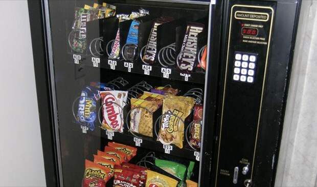 Интересные факты о Новой Зеландии