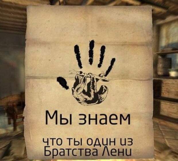 В мире так много фото приколов.