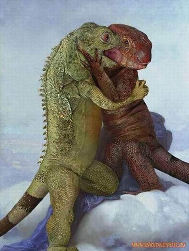 Дюжина улыбок :)