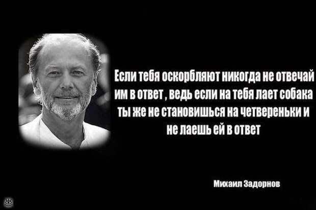 Безумные весёлости с людьми и животными 13