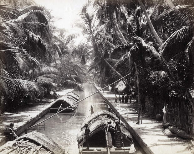 Редчайшие фотографии о повседневной жизни Шри-Ланки в 1880-х годах 11
