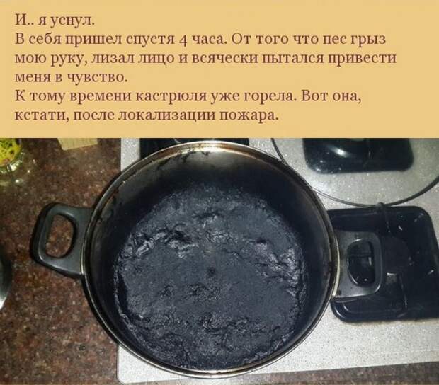 собака